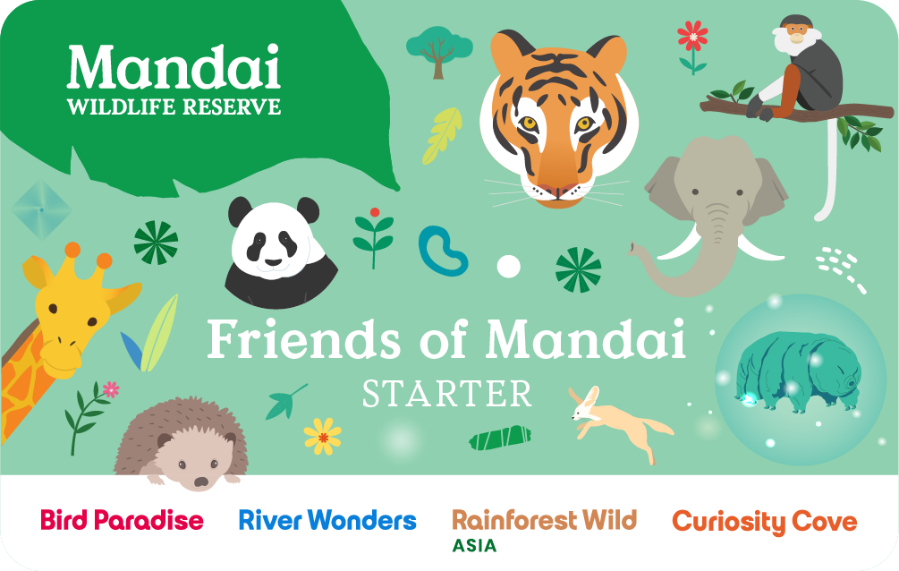 FOM Starter membership card