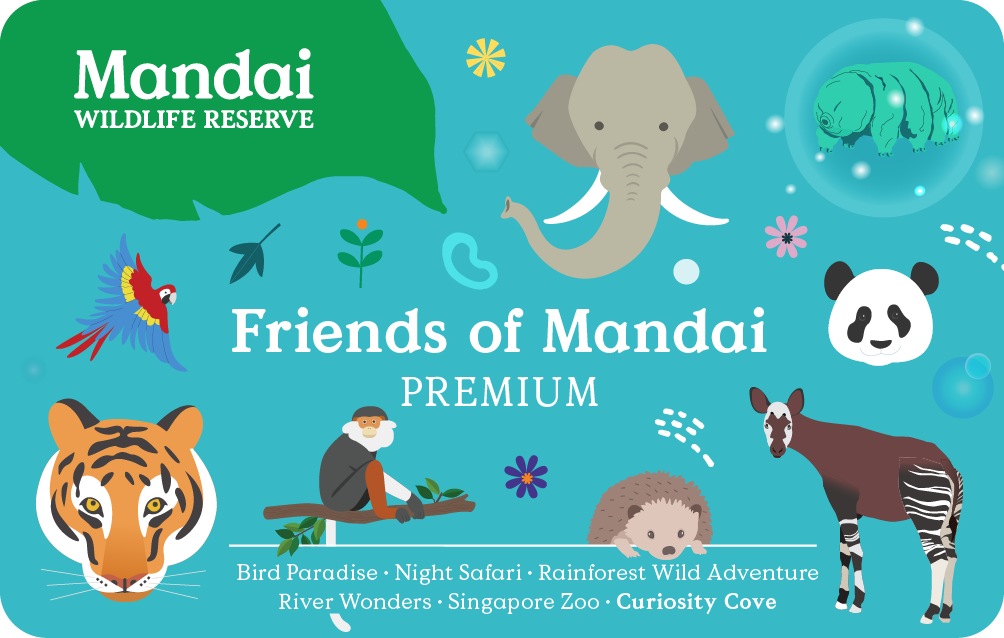 FOM Premium membership card