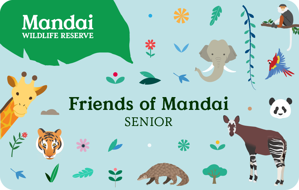 FOM Senior Membership Card