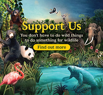 Support Us. You don't have to do wild things to do something for wildlife. Find out more.