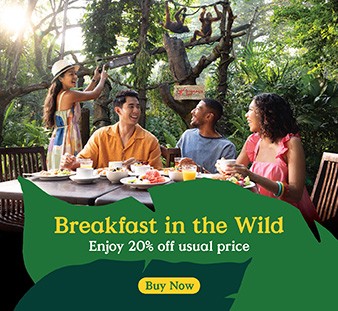 Breakfast int he Wild. Enjoy 20$ off usual price. Buy Now.